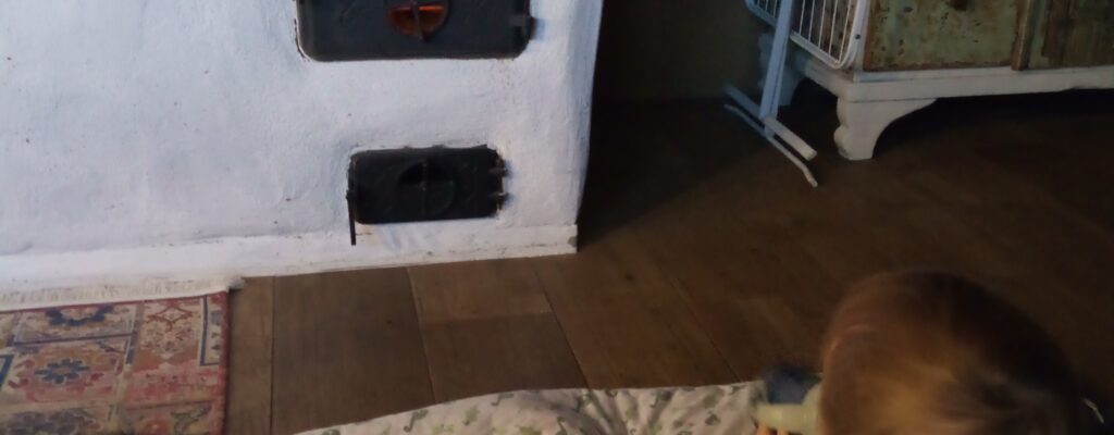 IMG_20241120_073344_557